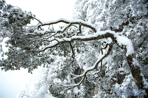 瑞雪扮靚光霧山